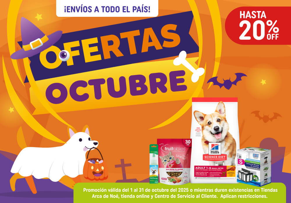 Ofertas Octubre 2025