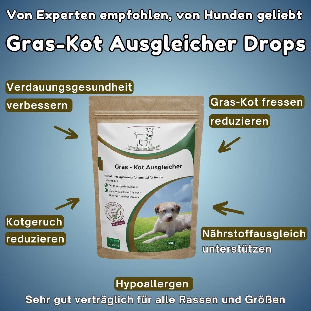 Gras-Kot-Ausgleicher Drops gegen Sodbrennen beim Hund