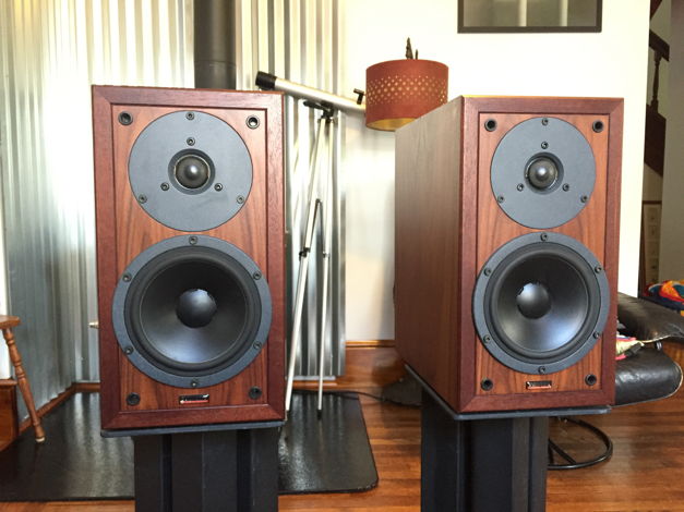 dynaudio contour 1.1 【公式通販】