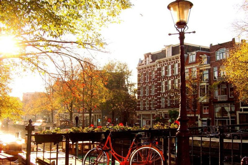 Амстердам для своих: прогулка по необычным местам