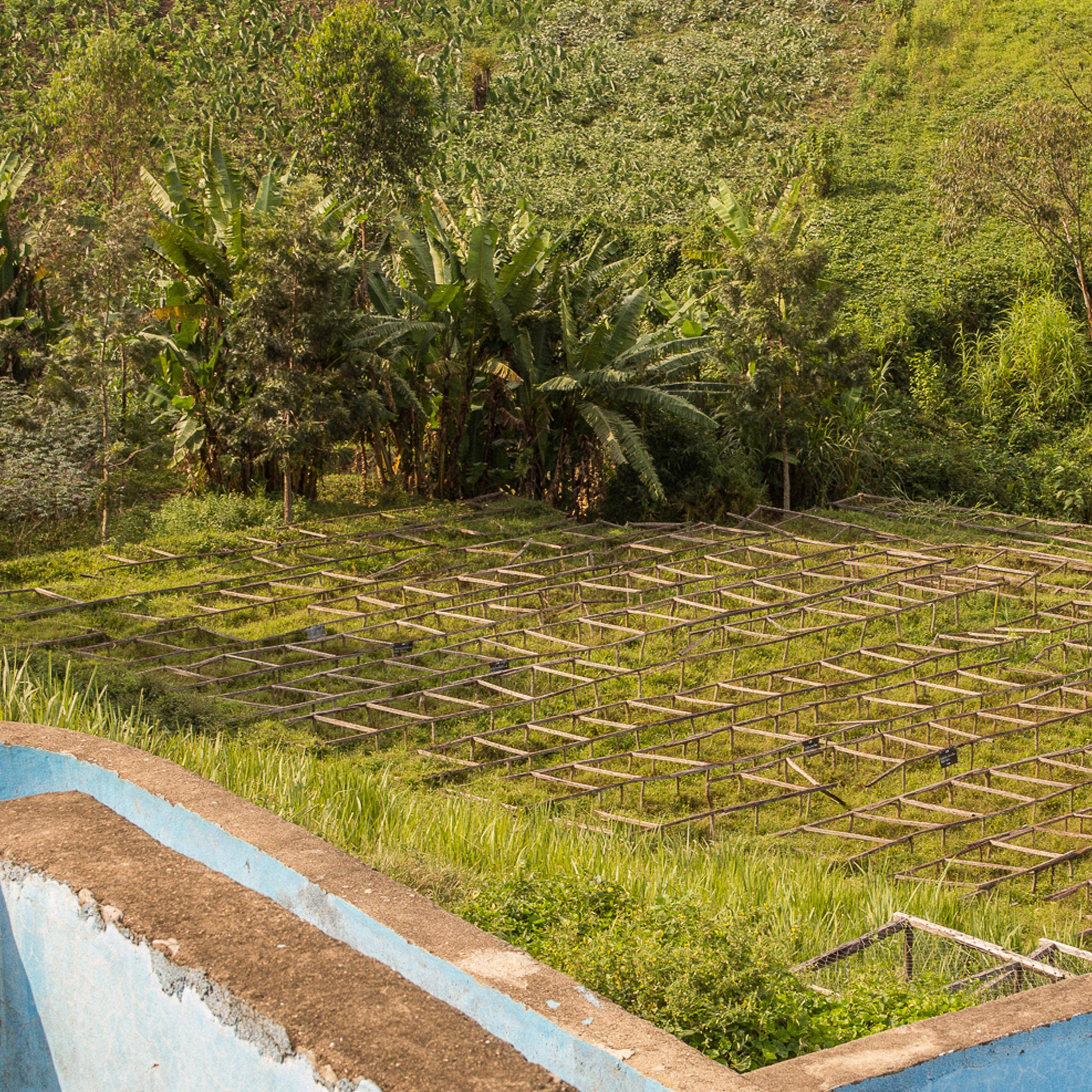 Congolese landscape  with river