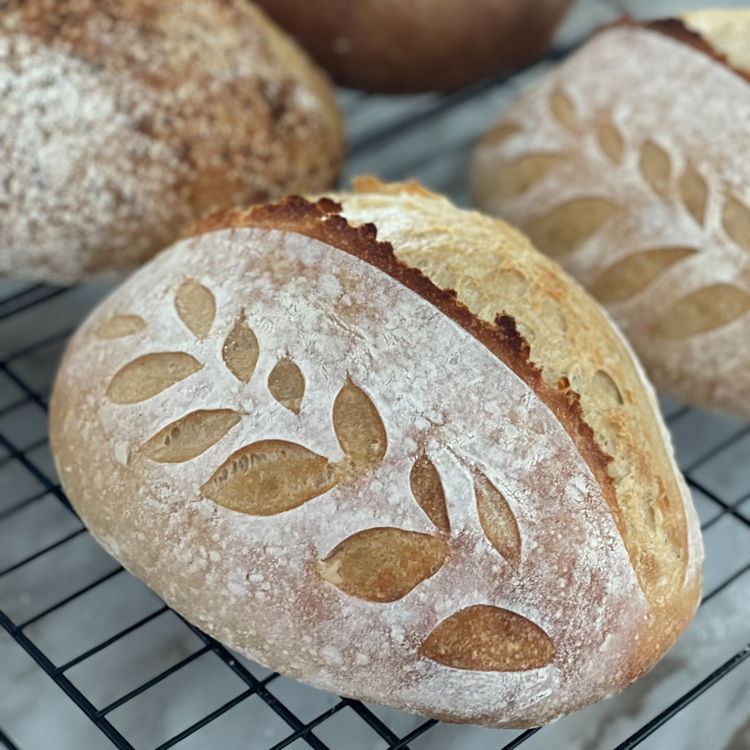 Dough Mama | Ashley — photo from hotplate.com
