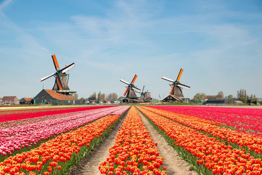 Keukenhof Entry Ticket plus Round-Trip Shuttle Bus - photo 4