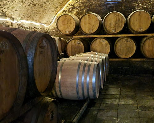 Food & Wine Tours Barberino Tavarnelle: Chianti: winery tour, light lunch, and wine pairing