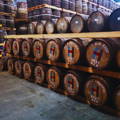 Chai rempli de fûts de Whisky en bois à la distillerie Isle of Harris sur l'île de Harris dans les Hébrides extérieures d'Ecosse