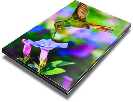 Matte acrylic prints