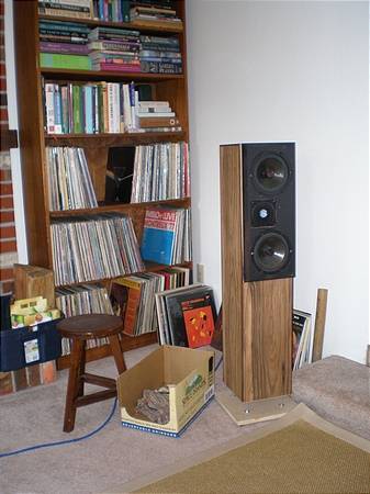 right speaker and vinyl