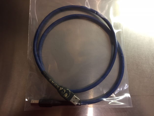 CARDAS AUDIO CLEAR SERIAL USB CABLE - 1M - PERFECT TRADE