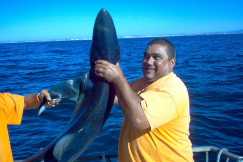 Океаническая рыбалка в Алгарве. Ловля акул