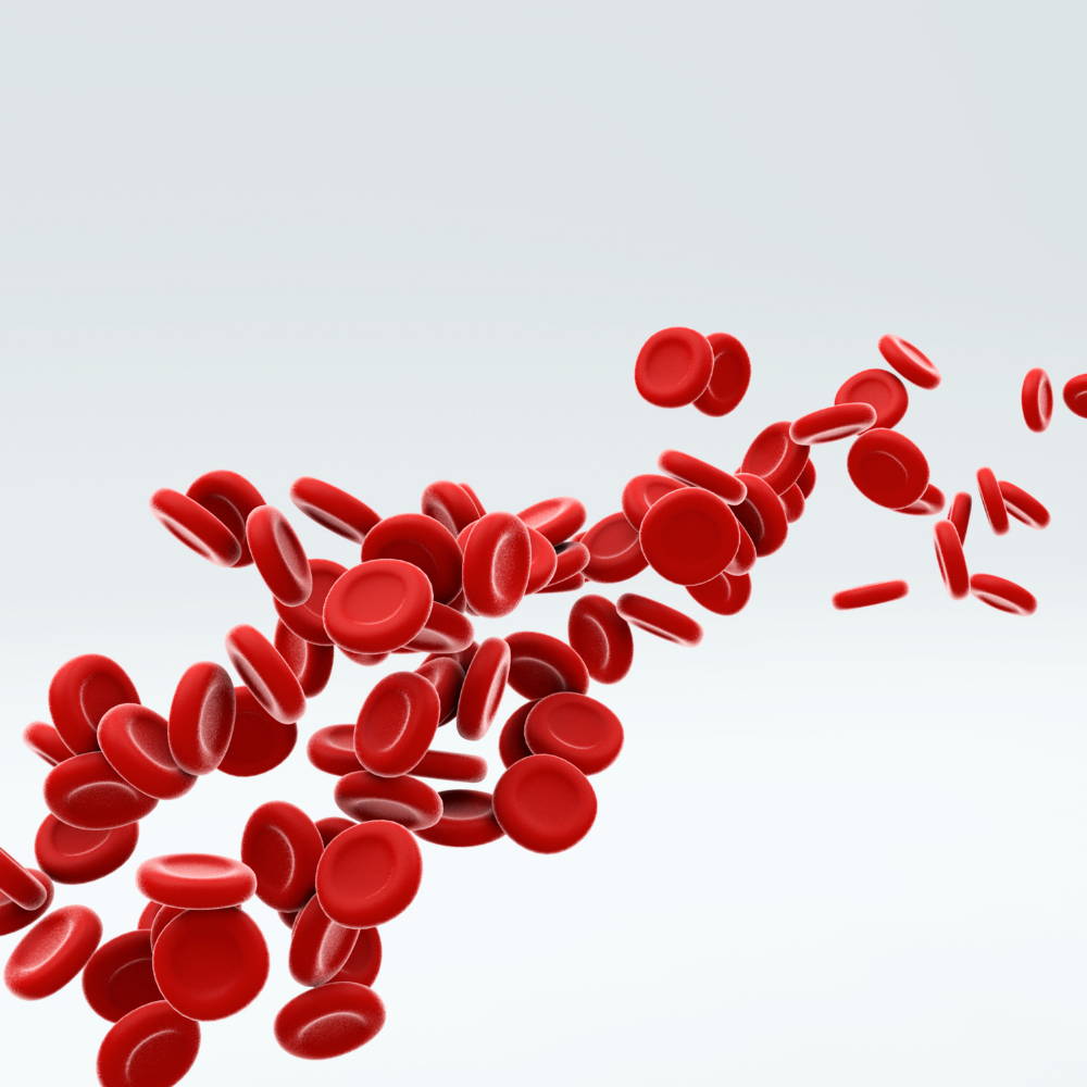 supplement vitamin b12 for anaemia and blood health