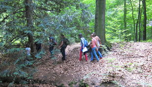 kindergeburtstag dues