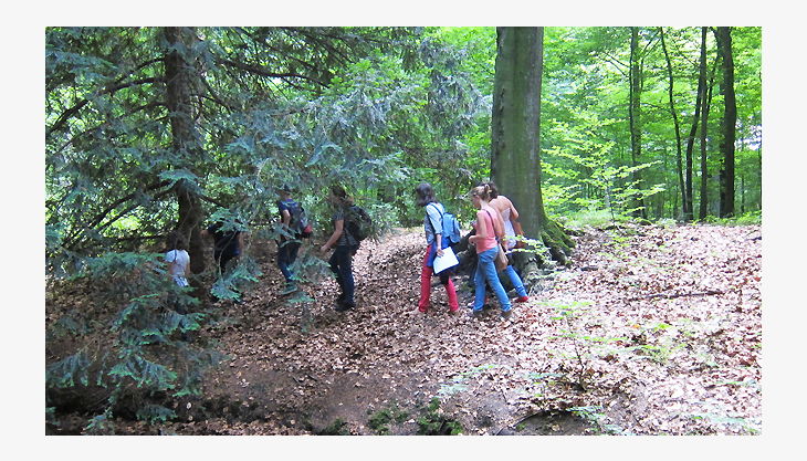 kindergeburtstag dues