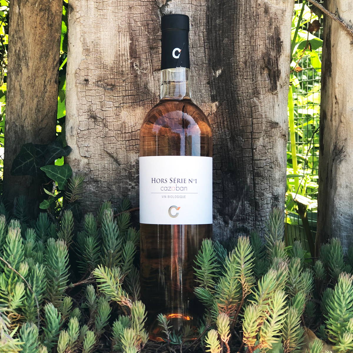 Hors série, rosé, emmanuel taillez, domaine cazaban, joseph parcé, cabardès, languedoc, vin nature, vin bio, vin rouge, vin blanc, vin rosé, raw wine, organic wine, vin naturel, vin sans intrants, vin propre, vin sain, merlot, cabernet, syrah, grenache, mourvèdre, carignan, roussanne, vermentino, grenache blanc, montagne noire