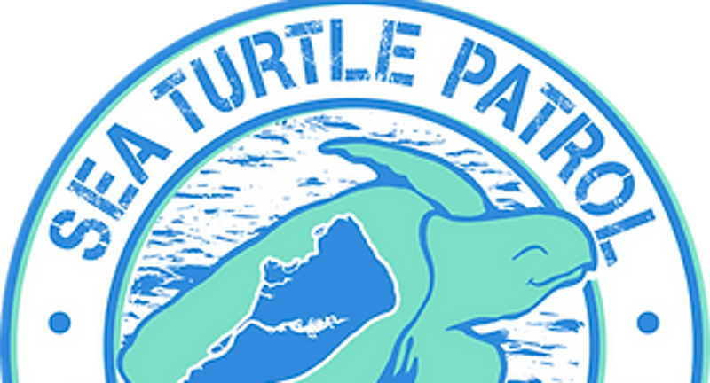 2023 Free Public Sea Turtle Talk