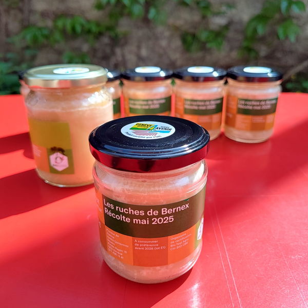 miel-de-printemps-geneve-bio-grta-250g