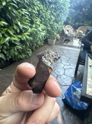 Cigar Session Photo