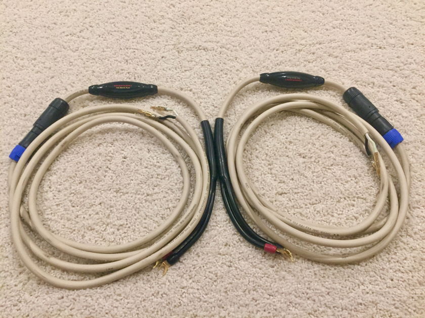 Transparent Audio The Wall Plus Cables with "The Brik Plus" Network  Pair 12ft spades/bananas
