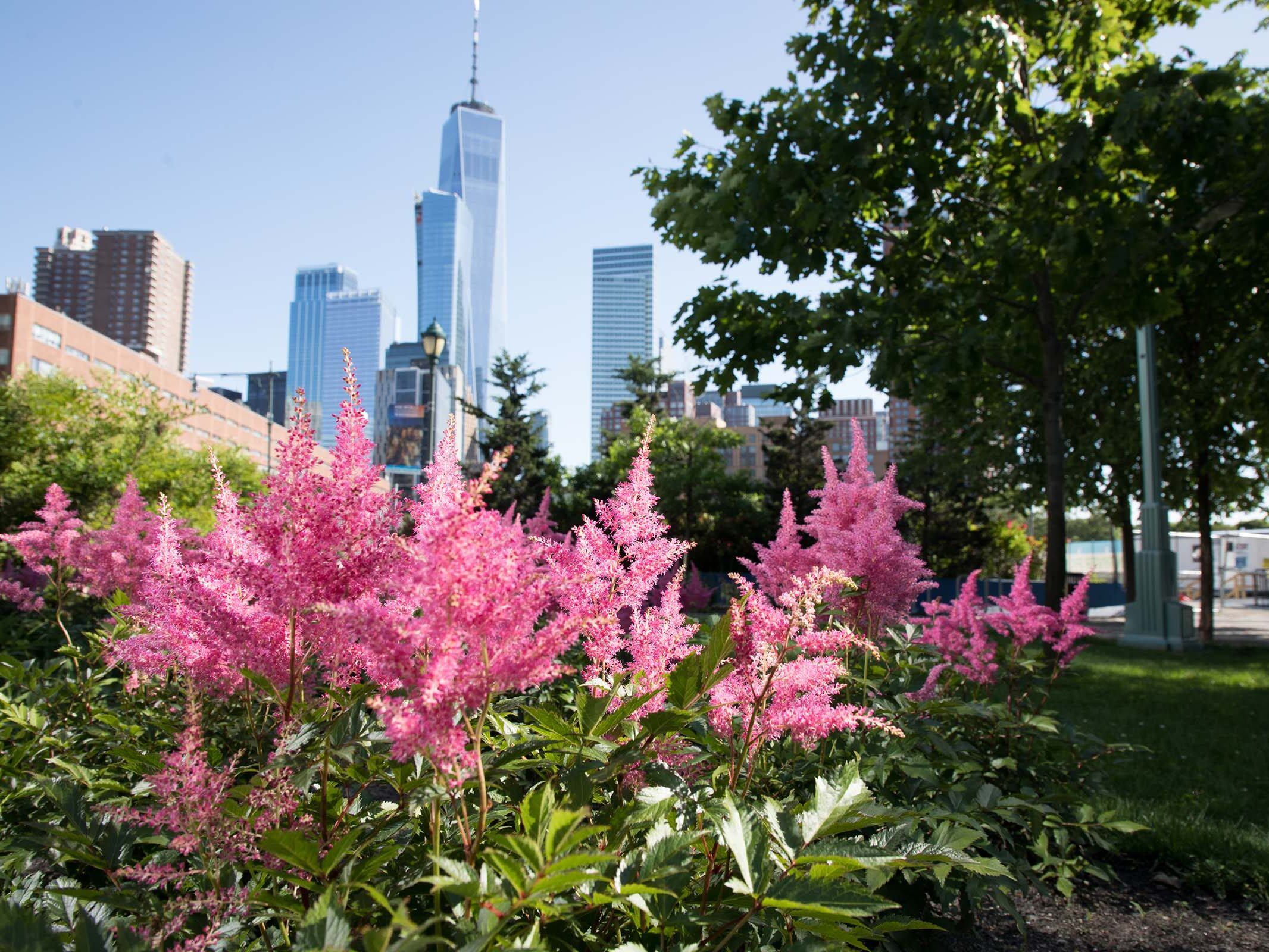 Hudson River Park