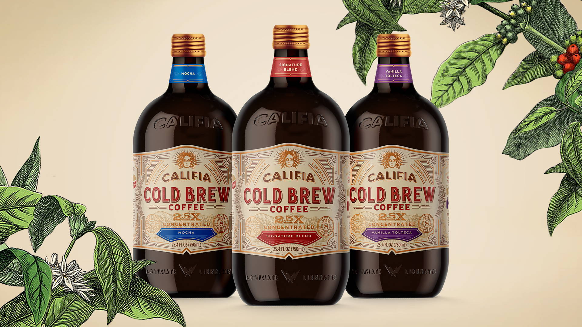 Featured image for Califia's Cold Brew Comes With a Nice Tactile Feeling