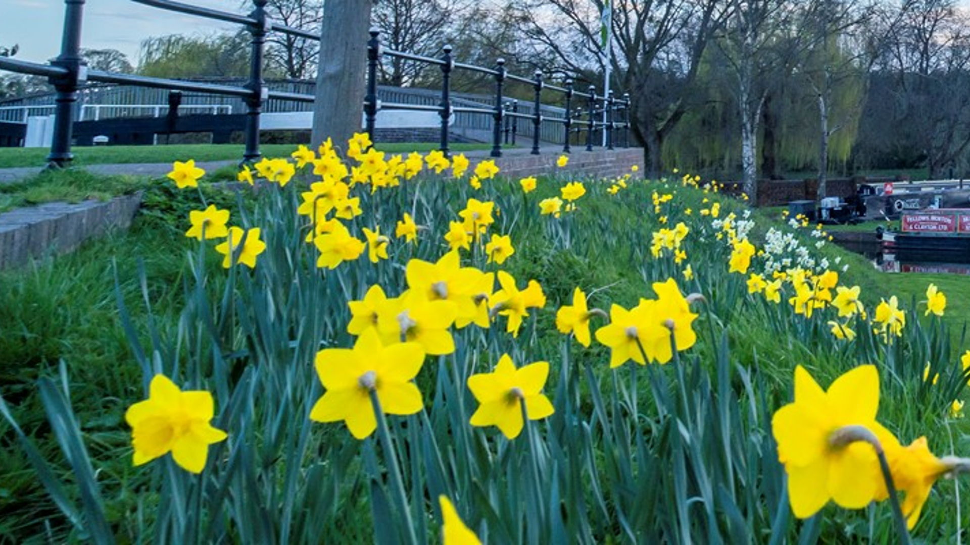 Wyre Forest District Council  hero image