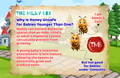 Why Is Honey Unsafe for Babies Younger Than One? | The Milky Box