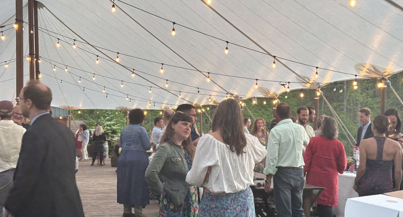Charlottesville Waldorf School Spring Party!