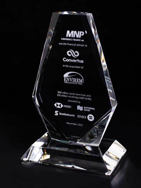 Buena Vista Deal Toy Crystal Trophy