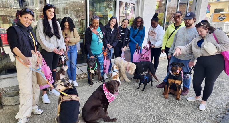 Barks & Bites: Doggie Crawl on the Atlanta Beltline