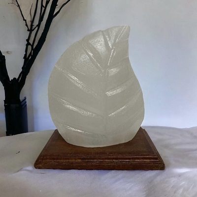 Salt Lamps - Leaf
