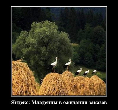 Яндекс. Младенцы в ожидании заказов.