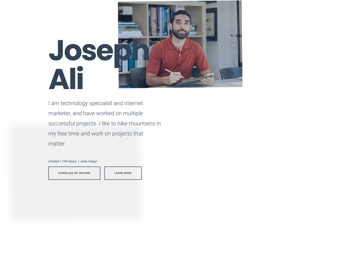 Screenshot of Joseph Ali, from the resume websites collection.