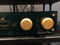 Shindo Labs Aurieges L Tube Preamp MINT 2