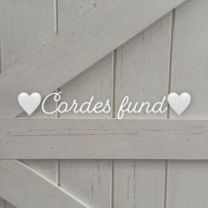 Home and honeymoon cash fund