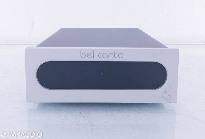 Bel Canto Ref 1000 Mono Power Amplifier; Single (11381)