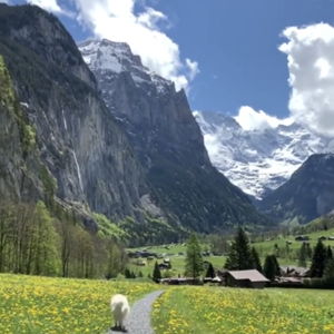 Swiss Alps 2025