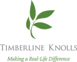 Event logo