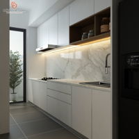 zane-concepts-sdn-bhd-contemporary-minimalistic-modern-malaysia-selangor-wet-kitchen-3d-drawing