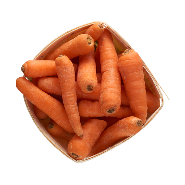 reduced cholesterol as benefit of the best probiotic supplement