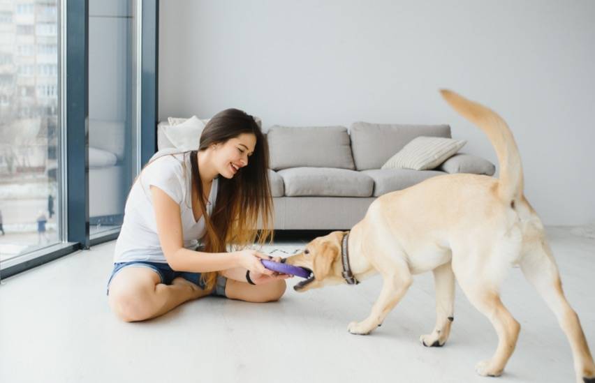 Woman playing with her dog with zooms in the living room