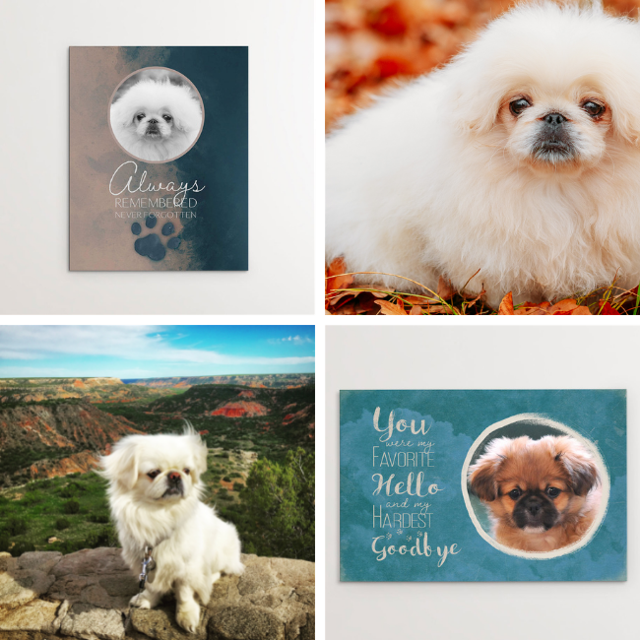 Pekingese memorials