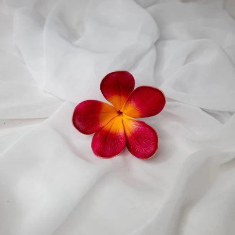 Passion Frangipani Flowerhead ( 6 Pack ) - Realistic Artificial Flowers - Image 4