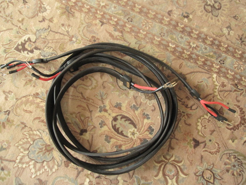 Wireworld Eclipse 6  Biwire Speaker Cable