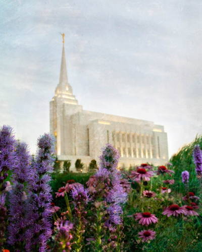 Painting of the Rexburg Temple surrounded by green grass and purple flowers.
