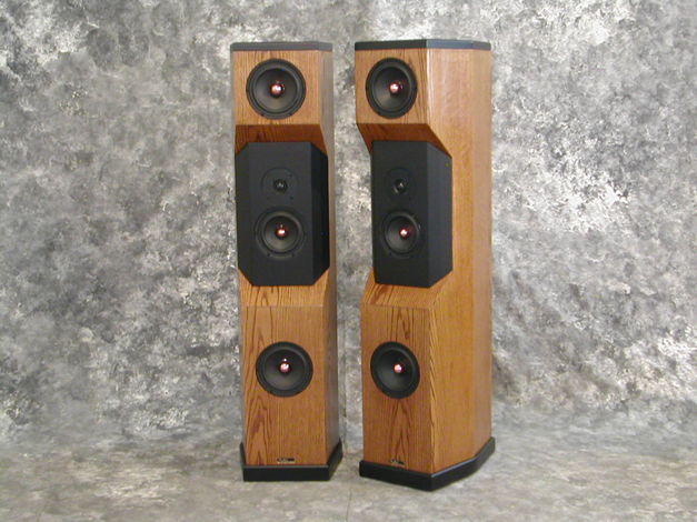 Tyler Acoustics D2's in golden oak $3500 shipped!