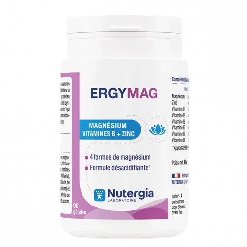 ERGYMAG  - Magnésium - 90 - Lot de 2