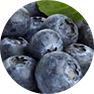 fastblast daily essentials contains organic blueberry