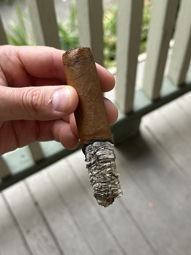 Nice ash