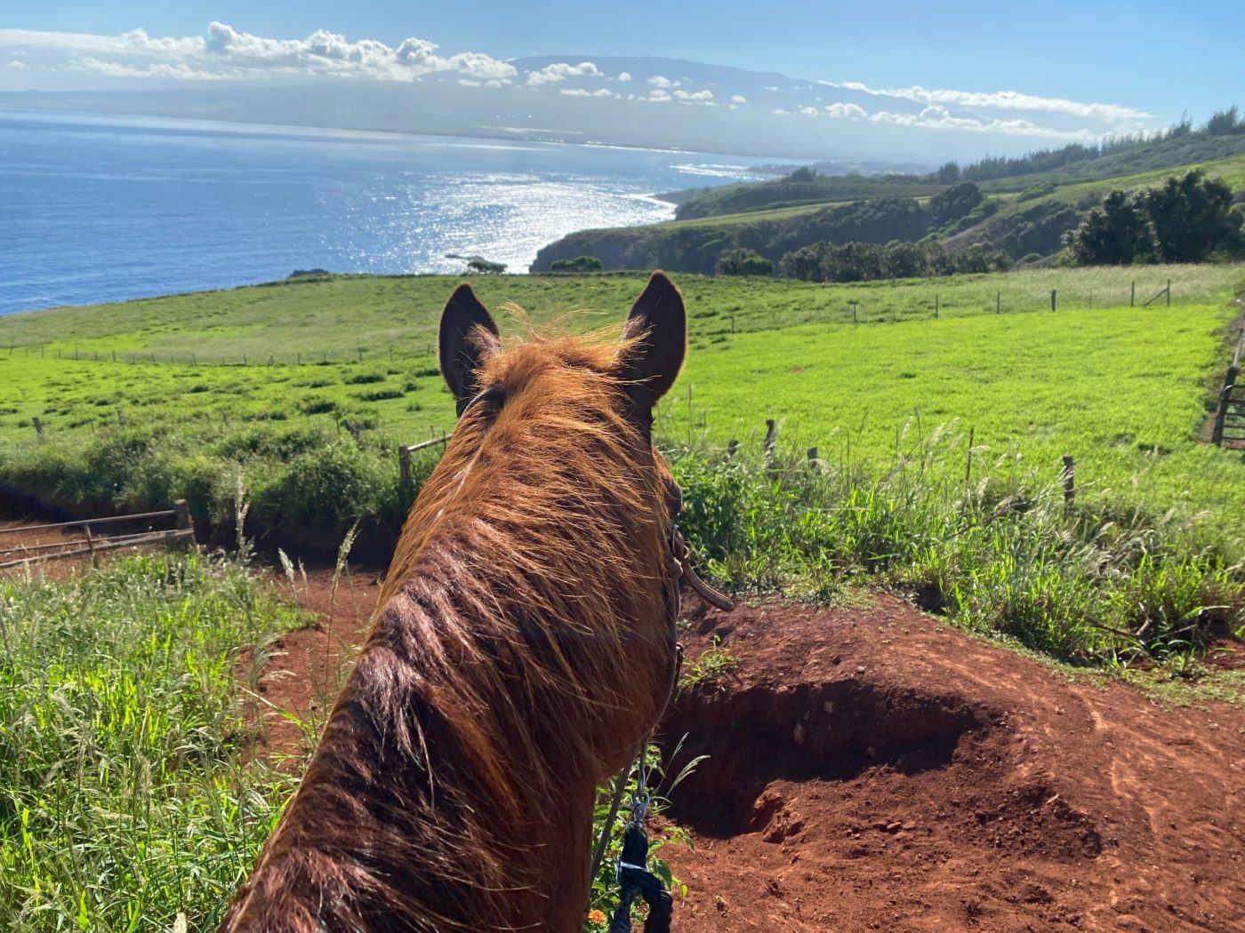 Horseback Riding 