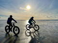 Les grandes catégories de fat bikes électriques disponibles en occasion
