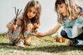 Two little girls gardening. 